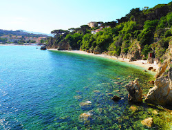 Photo de Spiaggia di Cala dei Frati - Portoferraio avec un rivage droit