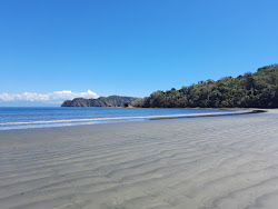 Photo de Playa Curu situé dans une zone naturelle