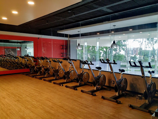 Elite Fitness Puebla