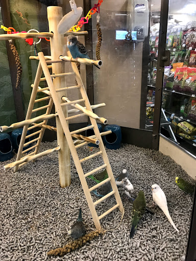 Pet Supply Store «Petco Animal Supplies», reviews and photos, 157-20 Cross Bay Blvd, Howard Beach, NY 11414, USA
