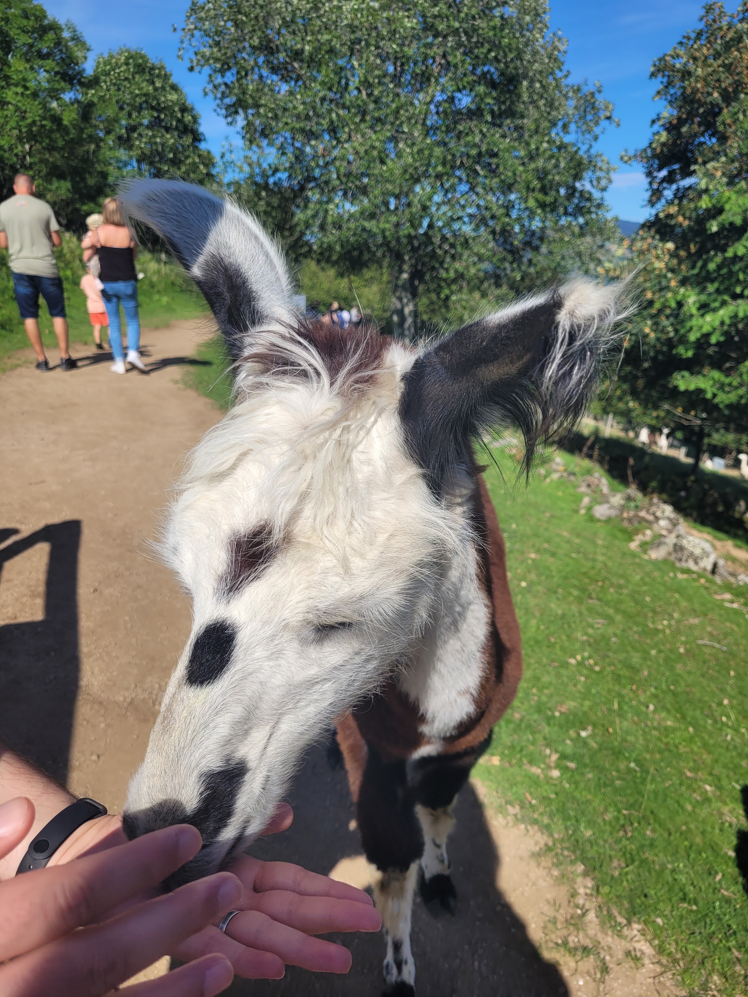 Photo n° 2 de l'avis de Stéphanie.a fait le 17/08/2023 à 14:24