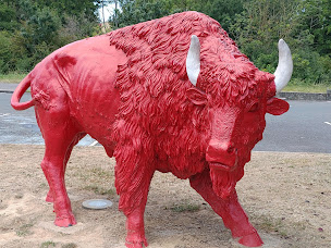 Photo n°45 de Buffalo Grill Chalon Sur Saone à Chalon-sur-Saône ()