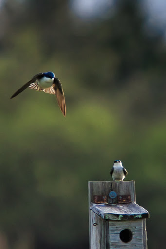 Tourist Attraction «Caesar Creek Visitor Center», reviews and photos, 4020 N Clarksville Rd, Waynesville, OH 45068, USA
