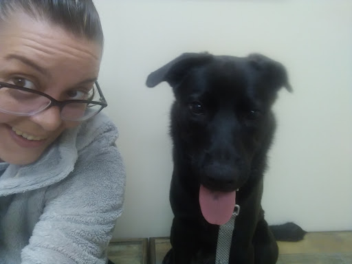 Pet Supply Store «Petco Animal Supplies», reviews and photos, 1255 Raritan Rd #140, Clark, NJ 07066, USA