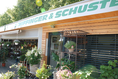 Schiffinger & Schuster GesmbH
