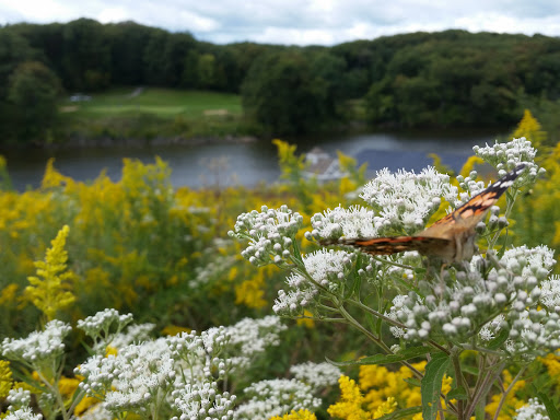 Golf Club «Amana Colonies Golf Club», reviews and photos, 451 U Ave, Amana, IA 52203, USA