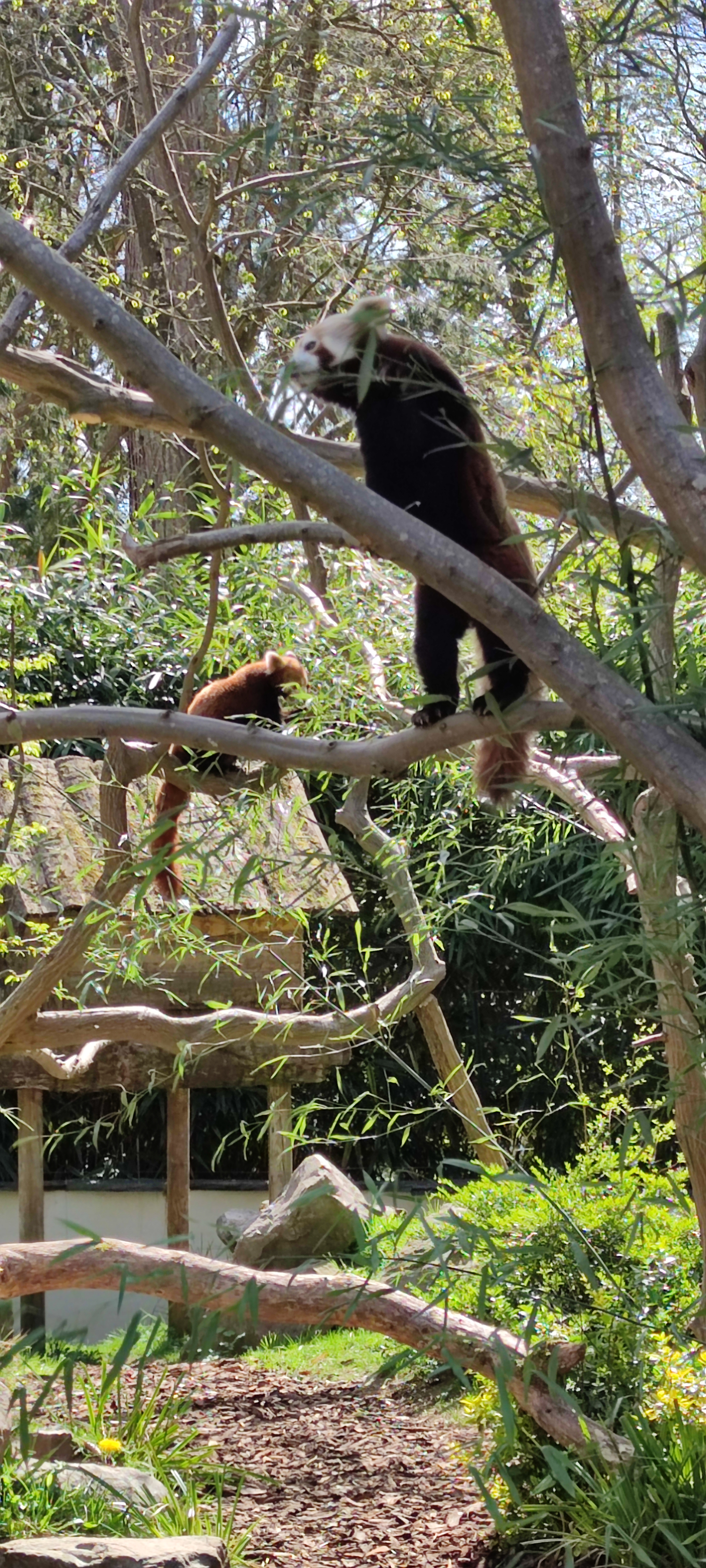 Photo n° 3 de l'avis de Christophe.A fait le 15/04/2022 à 13:58