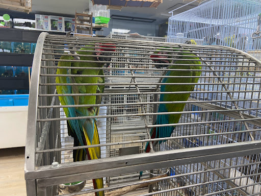 Pet Supply Store «Neighborhood Pet Shop», reviews and photos, 574 Hialeah Dr, Hialeah, FL 33010, USA