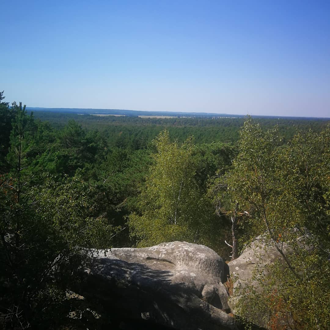 Photo n° 3 de l'avis de Sophie. fait le 29/08/2019 à 15:26