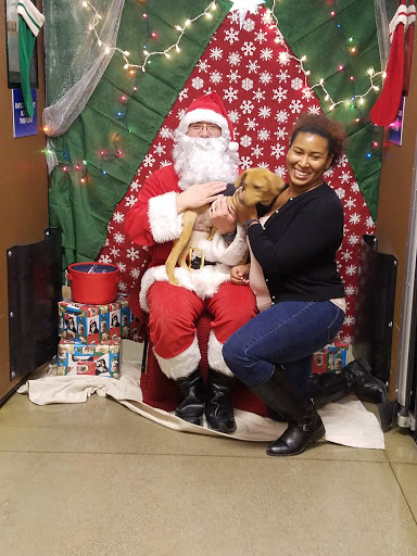 Pet Supply Store «PetSmart», reviews and photos, 2389 Taylor Park Dr, Reynoldsburg, OH 43068, USA