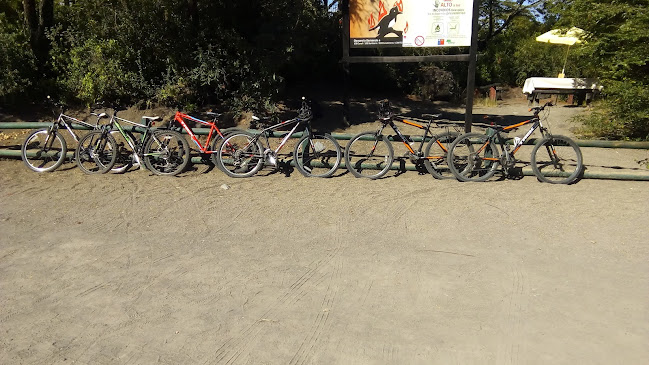 Pedaleo Puerto Varas - Tienda de bicicletas