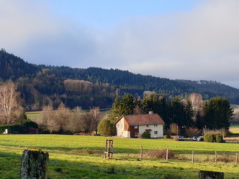 La Vision en Vosges à Xamontarupt (Vosges 88)