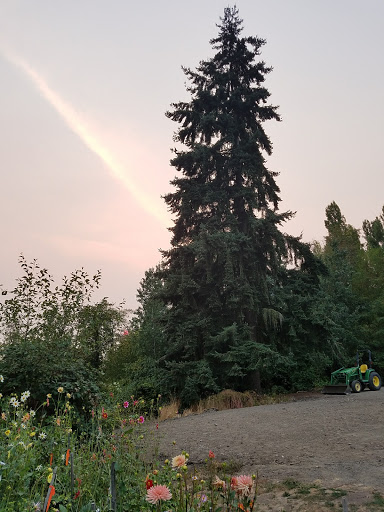 Park «Wilburton Hill Park», reviews and photos, 12400 Main St, Bellevue, WA 98005, USA