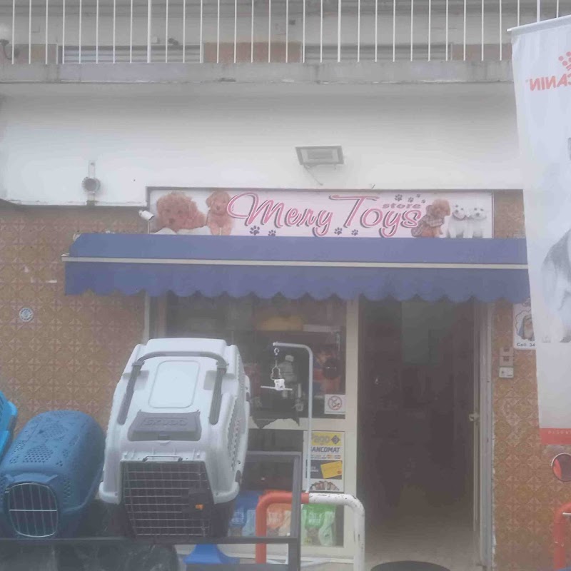 Mery Toy store