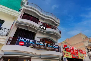 OYO Flagship Hotel Night Bloom image