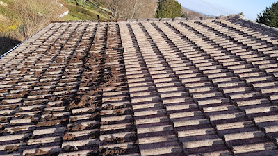 Sarl seiler ramonage à Belfort