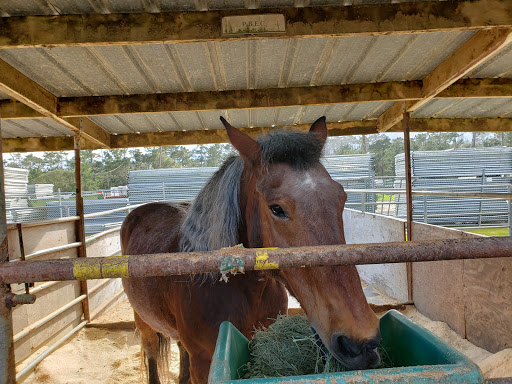 Equestrian facility Salinas