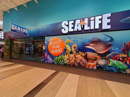 Aquarium «SEA LIFE Charlotte-Concord Aquarium», reviews and photos, 8111 Concord Mills Boulevard, Concord, NC 28027, USA
