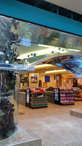 Sporting Goods Store «SCHEELS», reviews and photos, 1200 Scheels Drive, Sparks, NV 89434, USA