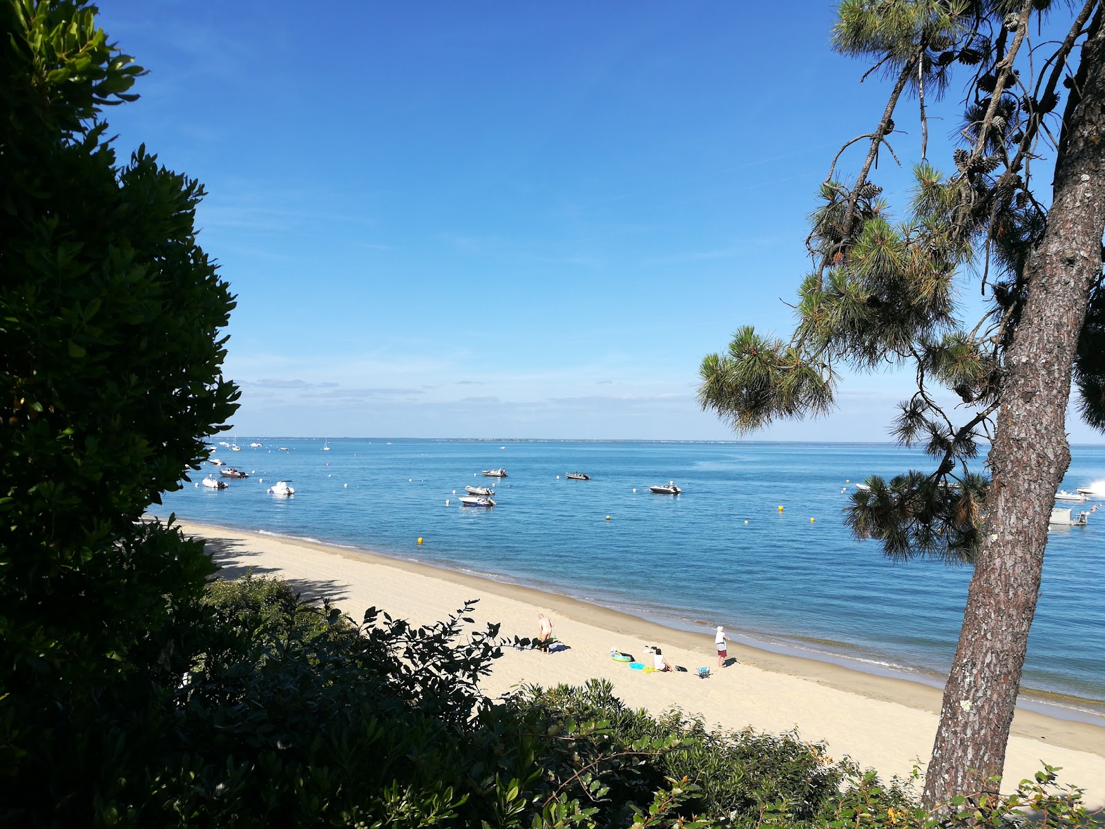 Photo de Plage de la Vigne avec plage spacieuse