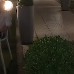 Photo n°7 de l'avis de Vica.a fait le 04/07/2023 à 05:48 sur le  Fermento - Pizzeria Contemporanea à Guardia Piemontese