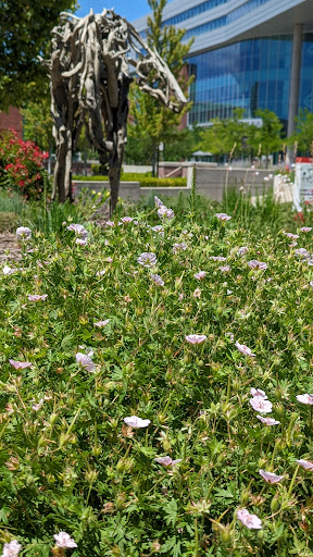 Art Museum «Utah Museum of Fine Arts», reviews and photos, 410 Campus Center Dr, Salt Lake City, UT 84112, USA