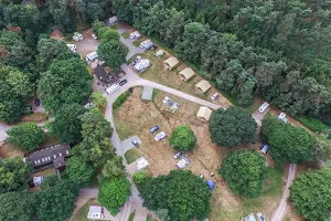 Cannock Chase Camping & Caravanning Club Site image
