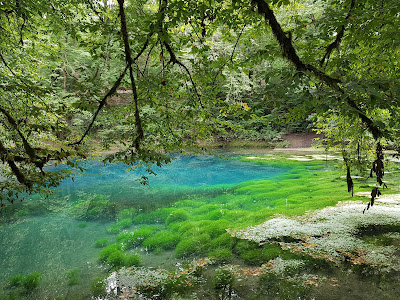 Source Du Planey à Anjeux