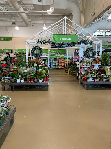 Garden Center «Pike Nurseries», reviews and photos, 615 W Crossville Rd, Roswell, GA 30075, USA