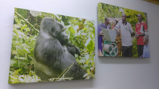 Coffee Store «UP Coffee Roasters», reviews and photos, 1901 Traffic St NE, Minneapolis, MN 55413, USA