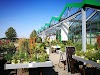 Blumen Und Pflanzen Gartenbau Meier Logo, Bad Düben, Germany, Florist