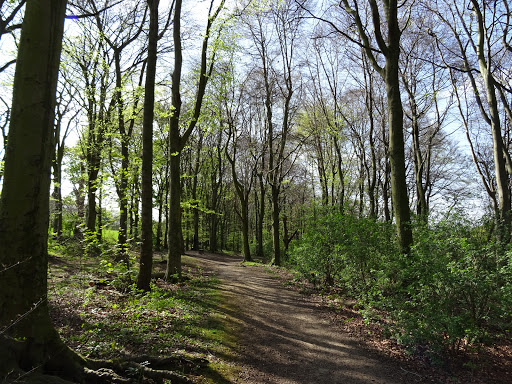 Herringthorpe Valley Park