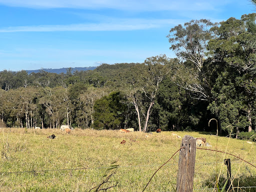 Caboolture to Wamuran Rail Trail Caboolture Entry, Caboolture QLD 4510
