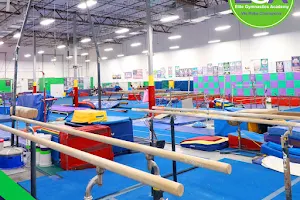 Elite Gymnastics Academy EGA image