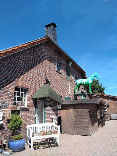 HANKENHOF - Tier & Natur im Einklang unter Filsum, 