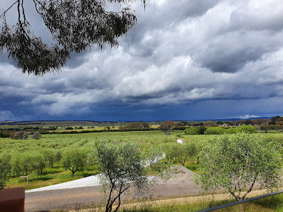 Fedra Olive Grove