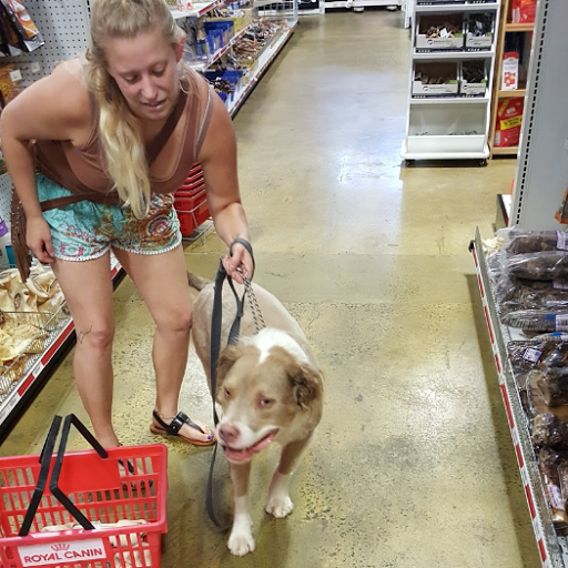 Pet Supply Store «One of the Family Pet Supply LLC», reviews and photos, 288 Lincoln Blvd, Middlesex, NJ 08846, USA