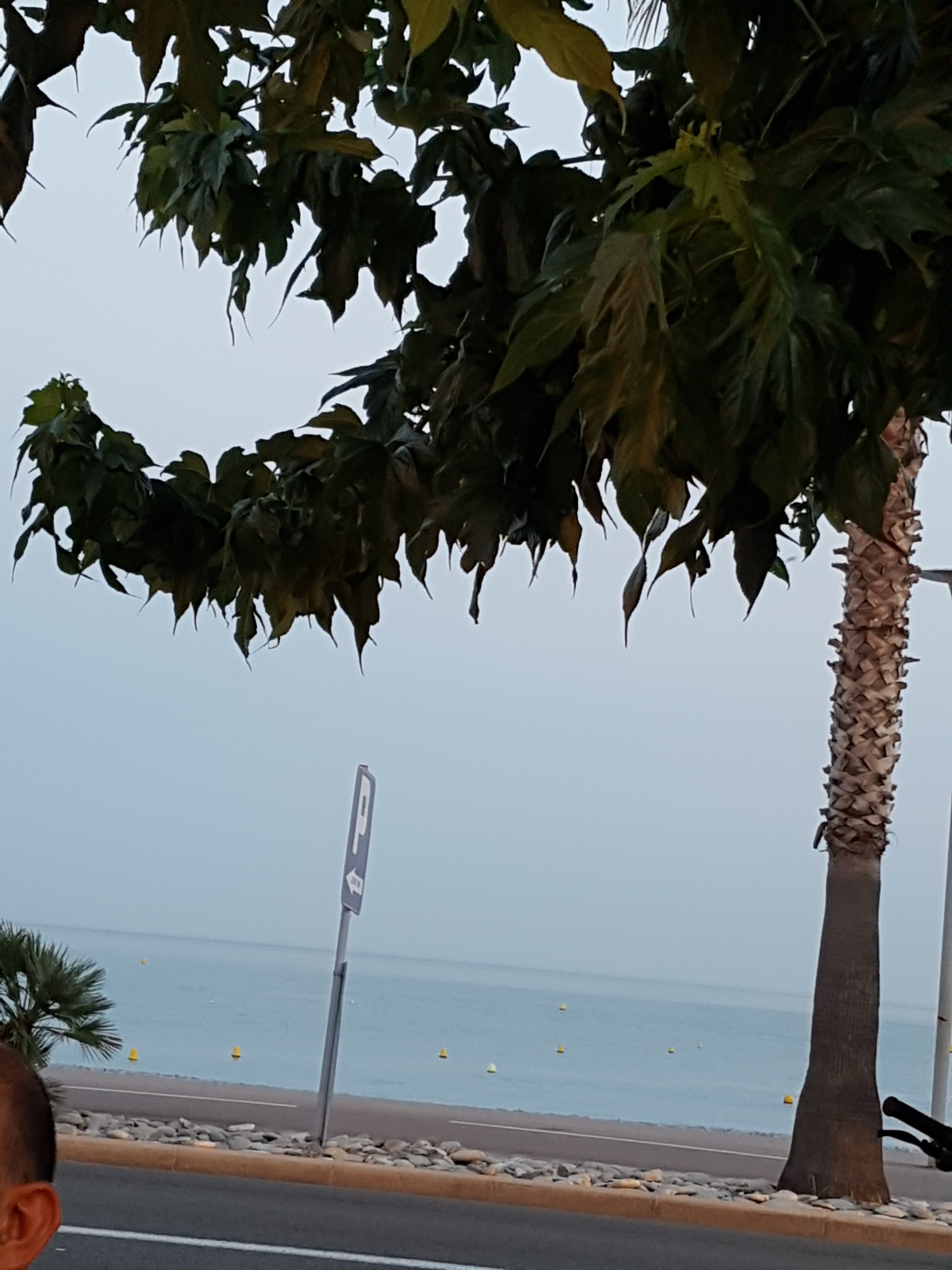 Photo n° 1 de l'avis de Linda.L fait le 21/08/2018 à 19:57