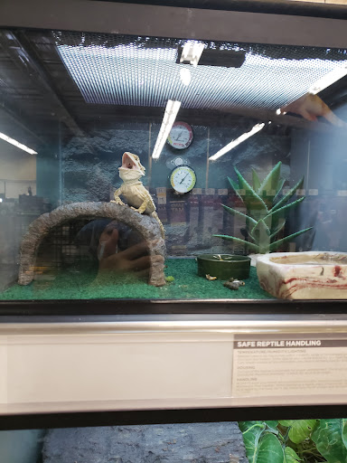 Pet Supply Store «Petco Animal Supplies», reviews and photos, 585 E Wetmore Rd, Tucson, AZ 85705, USA