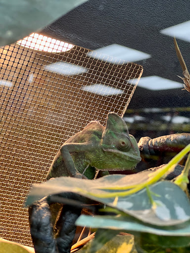 Pet Supply Store «Pet Expo Distributors», reviews and photos, 1800 Adams St, Mankato, MN 56001, USA