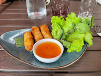 Rouleau de printemps du Restaurant asiatique CHINA THAI à Ferney-Voltaire - n°8