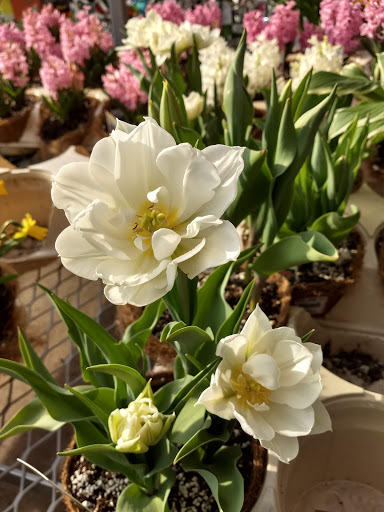 Home Improvement Store «The Home Depot», reviews and photos, 701 W Edgar Rd, Linden, NJ 07036, USA