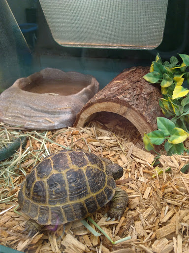 Pet Supply Store «Pet Supplies Plus», reviews and photos, 911 N Cable Rd a, Lima, OH 45805, USA