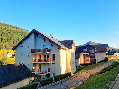 Les Crocus à Villard-de-Lans