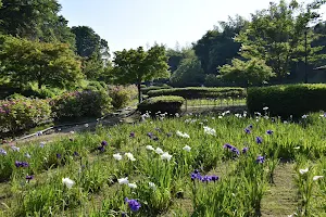 亀山菖蒲園 image