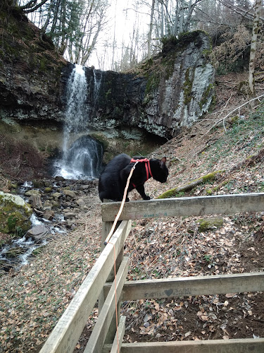 Cascade du Trador à Laqueuille