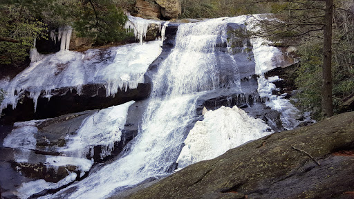 National Forest «Pisgah National Forest», reviews and photos, 1600 Pisgah Highway, Nebo, NC 28761, USA
