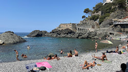 Zdjęcie Spiaggia Torsei z powierzchnią niebieska czysta woda