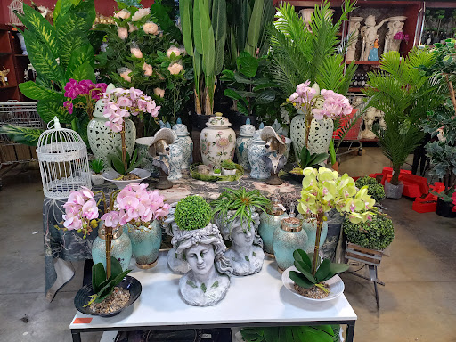 Multiflora Flower Market