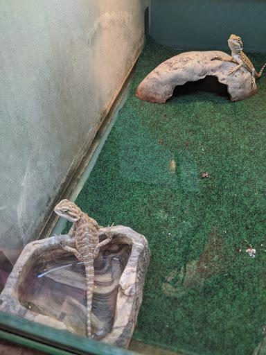 Pet Supply Store «Pet Supplies Plus», reviews and photos, 1262 OH-303, Streetsboro, OH 44241, USA